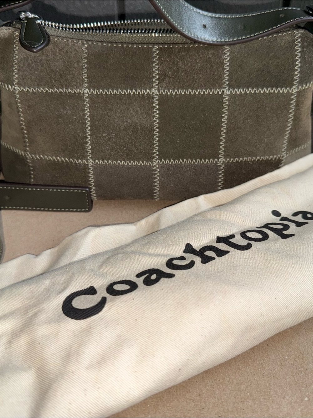 Coachtopia Alter Ego Small Slouchy Shoulder Bag - Picture 11 of 15